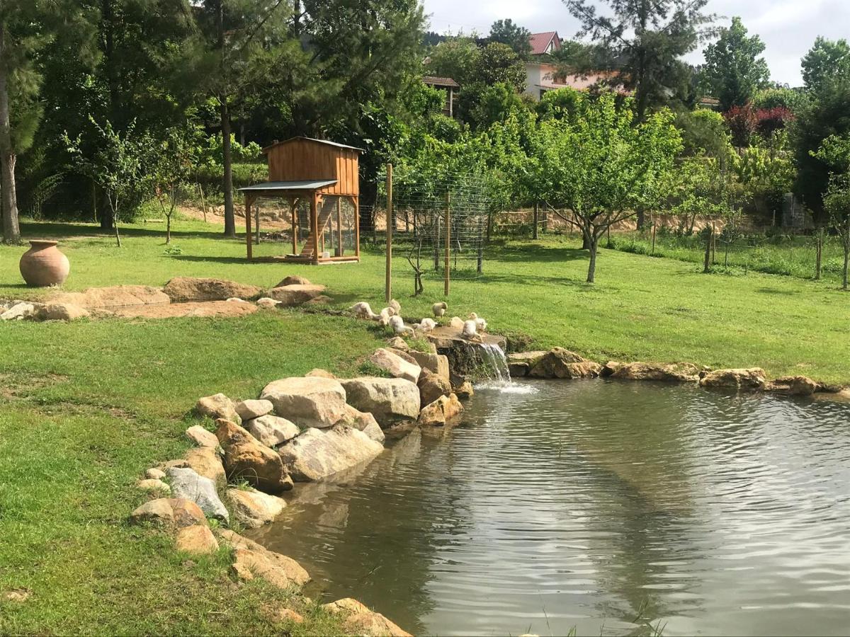 Quinta Da Vinha Do Souto Villa Arouca Ngoại thất bức ảnh