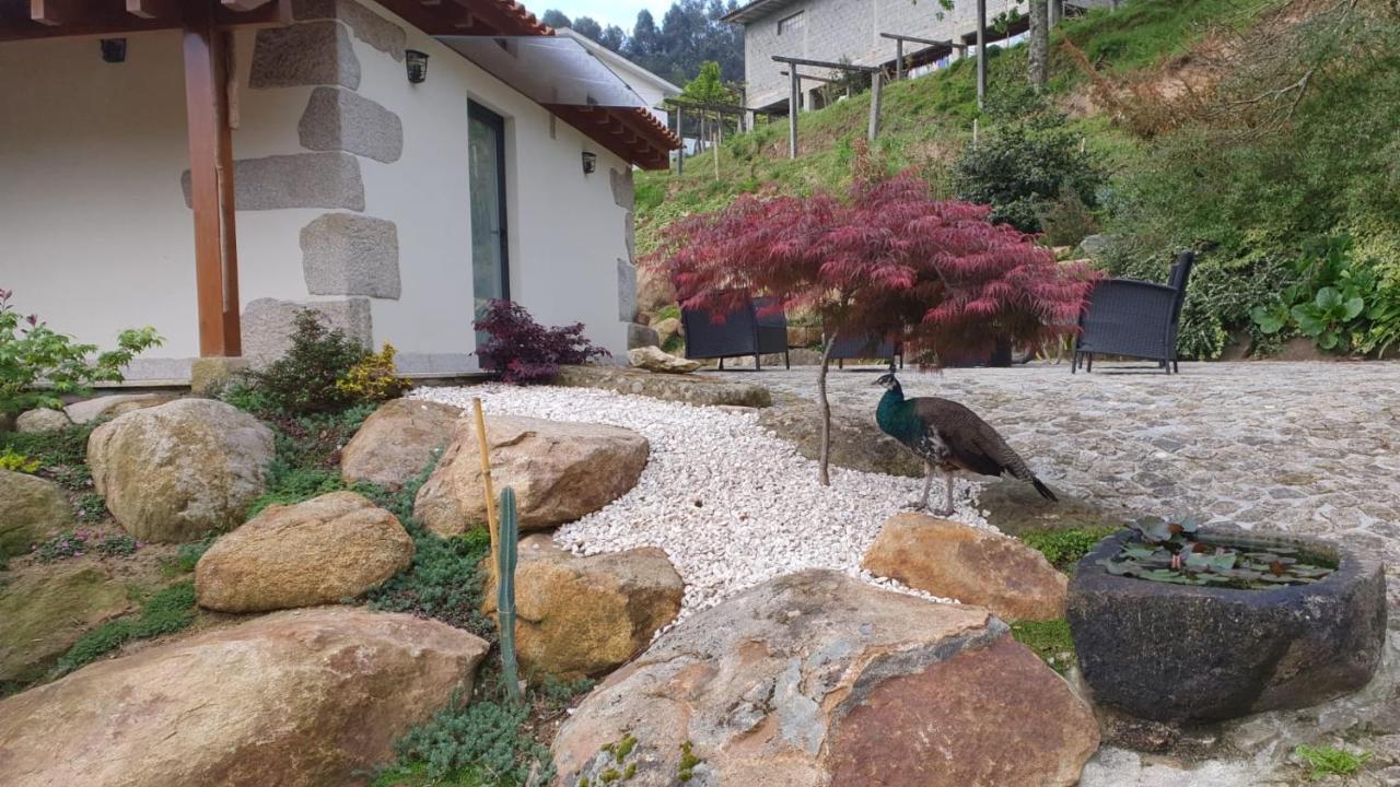 Quinta Da Vinha Do Souto Villa Arouca Ngoại thất bức ảnh