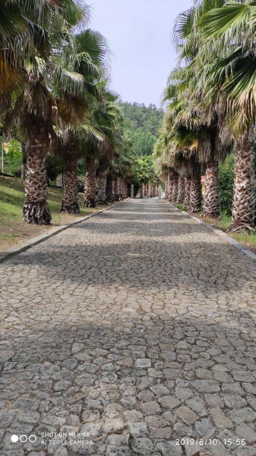 Quinta Da Vinha Do Souto Villa Arouca Ngoại thất bức ảnh
