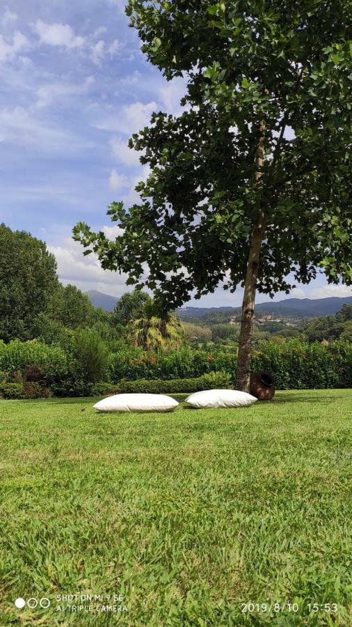 Quinta Da Vinha Do Souto Villa Arouca Ngoại thất bức ảnh